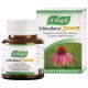 VOGEL ECHINAFORCE JUNIOR 120 TABS (ΦΥΤΙΚΟ ΑΝΤΙΙΙΚΟ. ΑΝΤΙΒΙΟΤΙΚΟ)