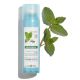 Klorane Aquatic Mint Ξηρό Σαμπουάν για Βαθύ Καθαρισμό για Ξηρά Μαλλιά 150ml